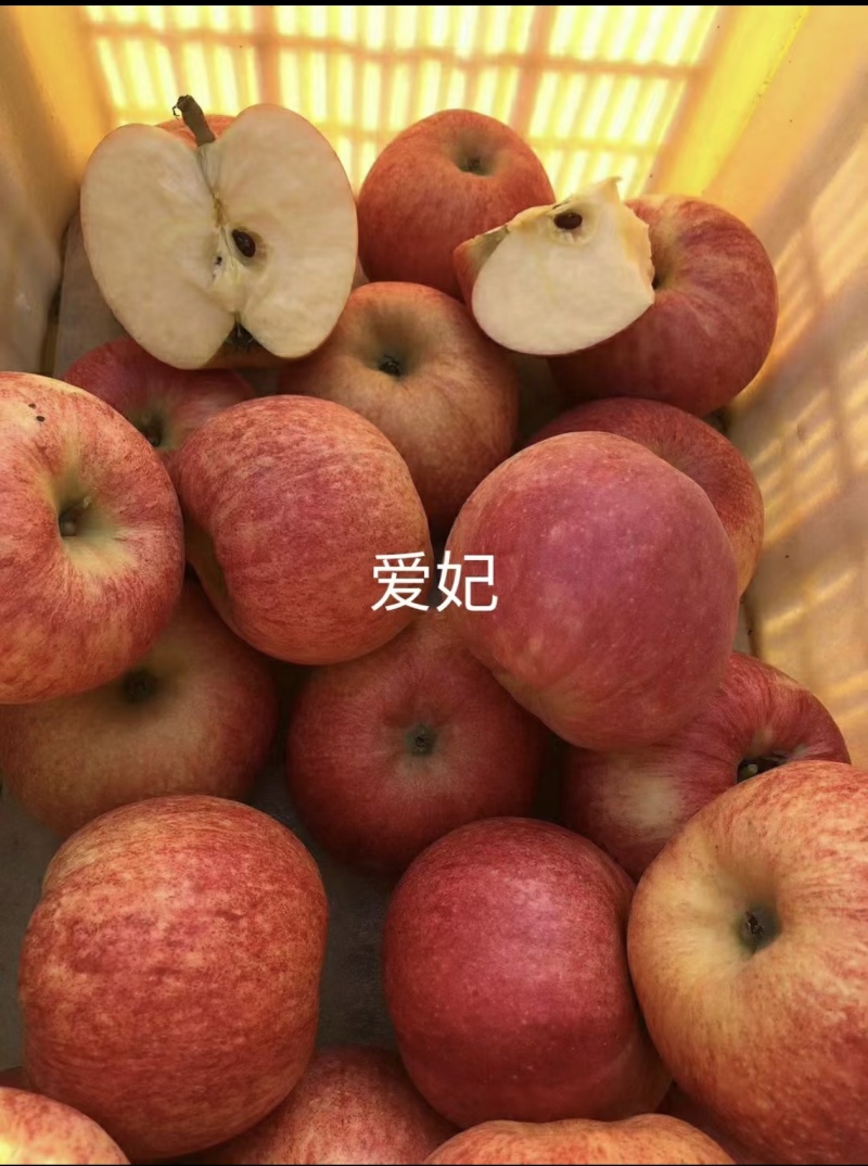 烟台爱妃苹果