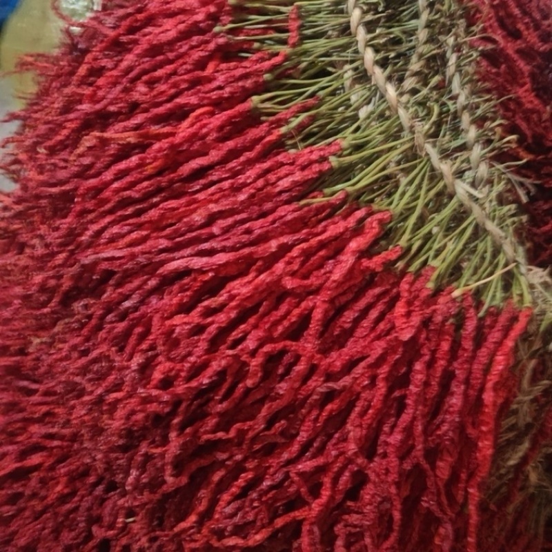 精品贵州特产皱皮干辣椒