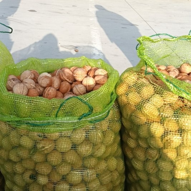 鲜核桃，（清香薄皮）