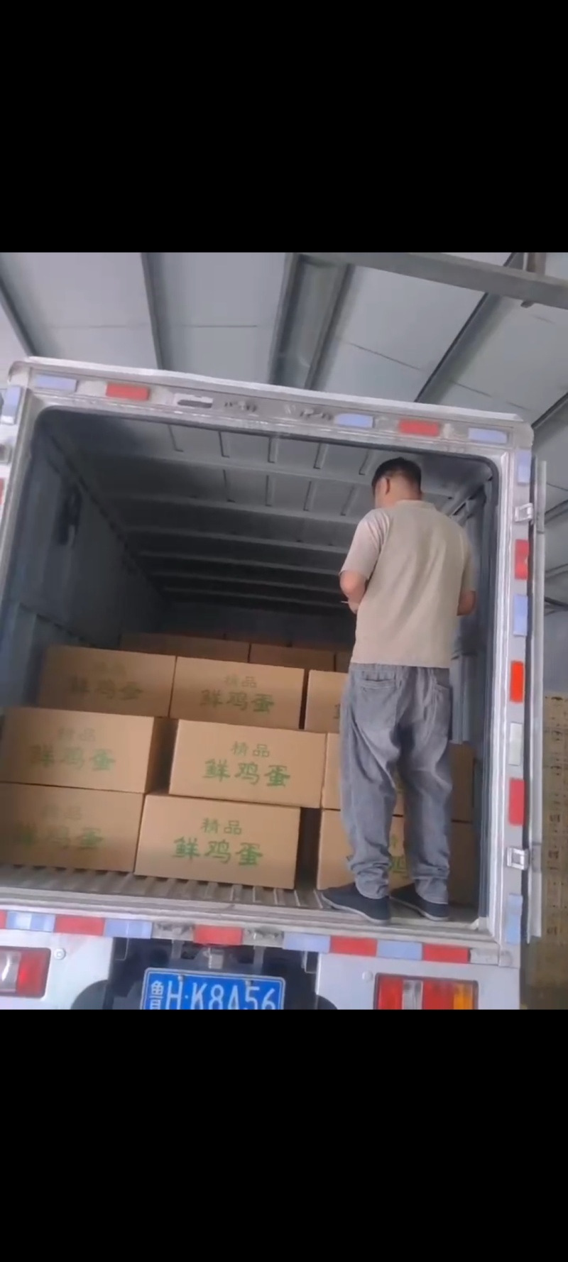 鲜鸡蛋批发红蛋粉蛋可送货上门压货款到付包运费