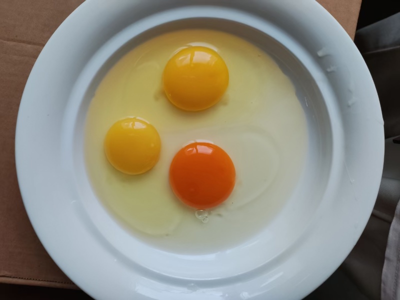鲜鸡蛋批发红蛋粉蛋可送货上门压货款到付包运费