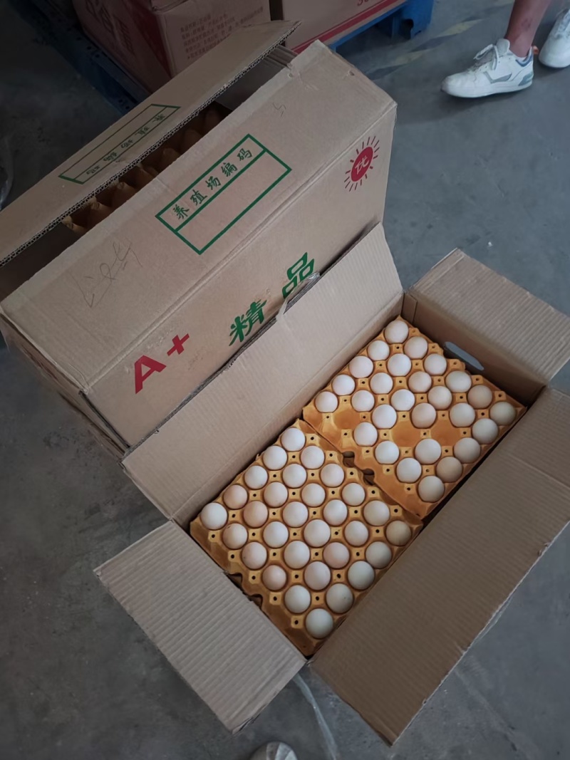 鲜鸡蛋批发红蛋粉蛋可送货上门压货款到付包运费