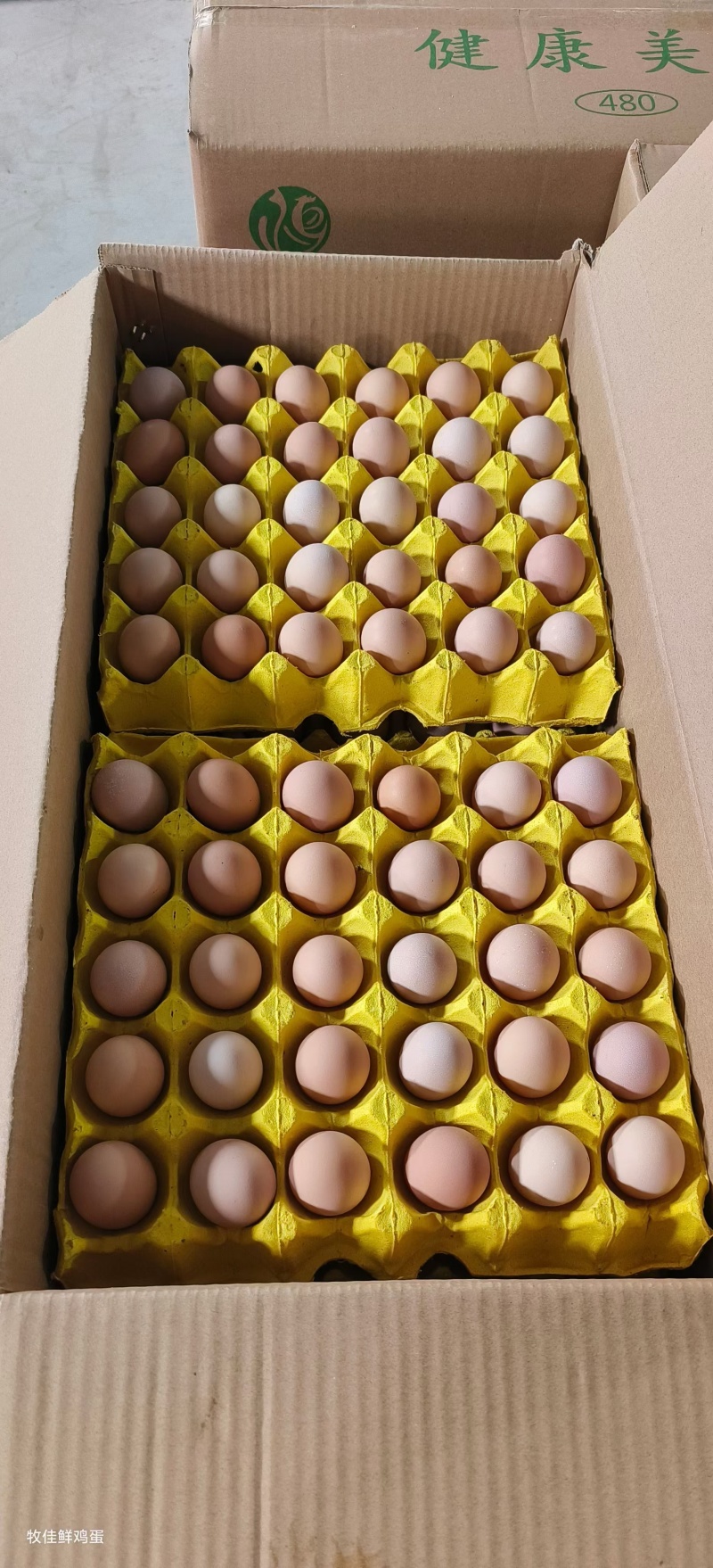 鲜鸡蛋批发红蛋粉蛋可送货上门压货款到付包运费