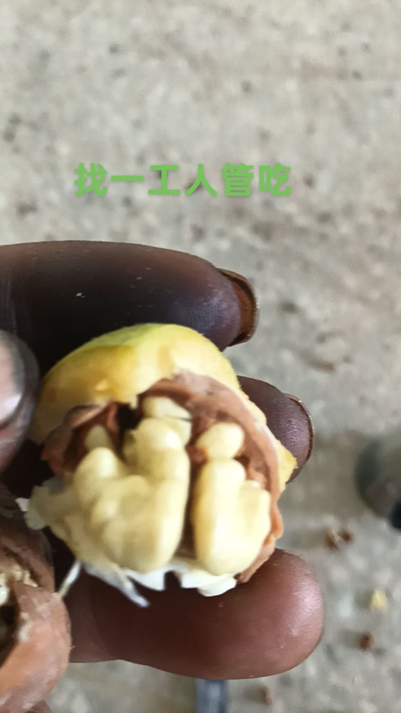 鲜核桃，（清香薄皮）