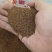 菟丝子内蒙野生水洗菟丝子兔丝子中药材批发泡酒泡水