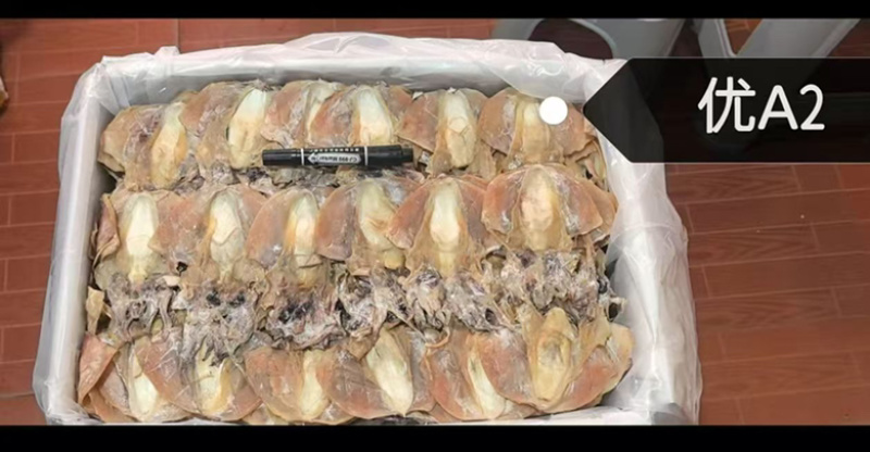 墨鱼干地摊电视批发批发墨鱼干小墨鱼干货乌贼干目鱼干鱼干