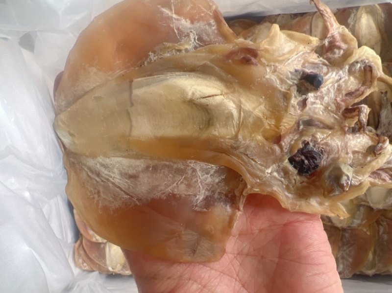 墨鱼干地摊电视批发批发墨鱼干小墨鱼干货乌贼干目鱼干鱼干