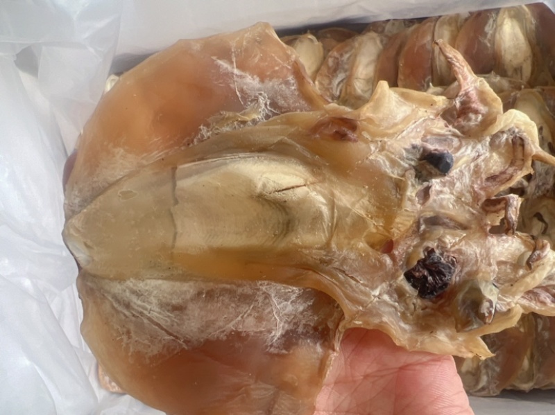墨鱼干地摊电视批发批发墨鱼干小墨鱼干货乌贼干目鱼干鱼干