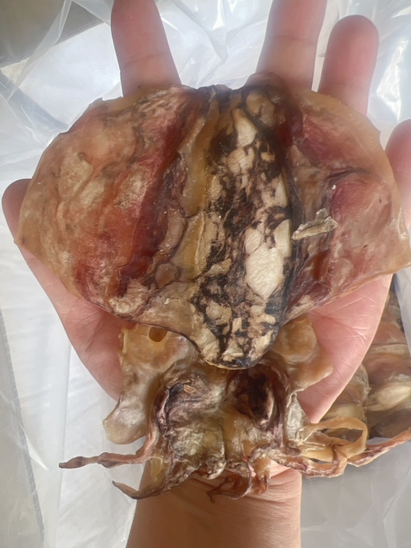 墨鱼干地摊电视批发批发墨鱼干小墨鱼干货乌贼干目鱼干鱼干