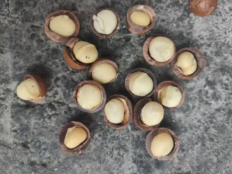 夏威夷果