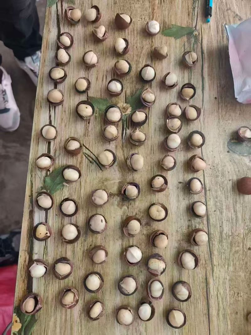夏威夷果