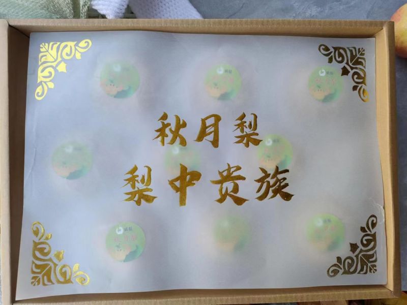 河北威县秋月梨