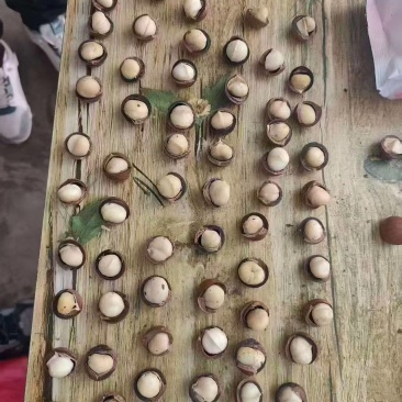 夏威夷果