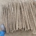 内黄山药大量上市，可视频，可供个电商，各大商超