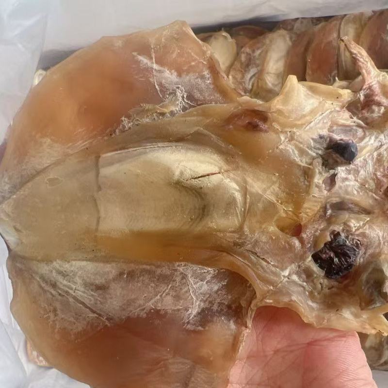 墨鱼干地摊电商批发墨鱼干乌贼干鱼干干鱼