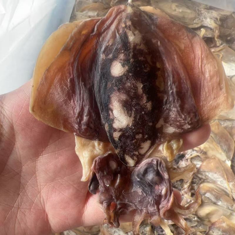 墨鱼干地摊电商批发墨鱼干乌贼干鱼干干鱼