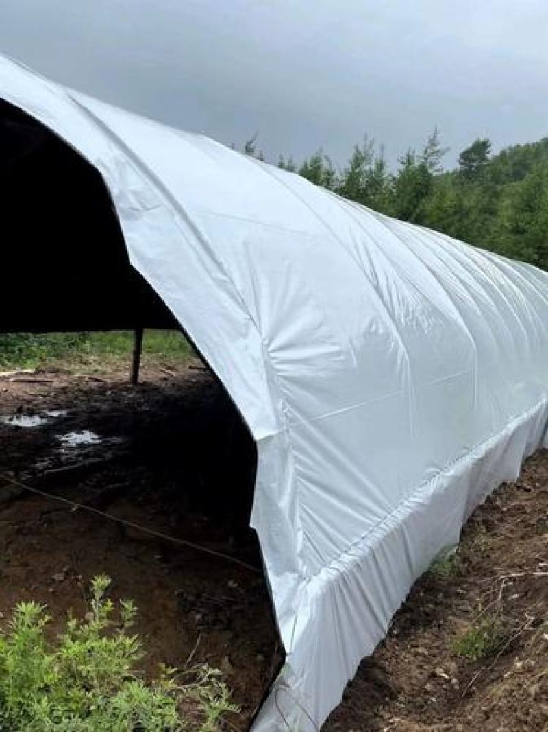 全新料进口大棚膜聚乙烯抗老化耐用无滴膜黑白膜养殖膜