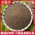 沙苑子正宗头茬沙苑子水洗优质无硫药用中药材