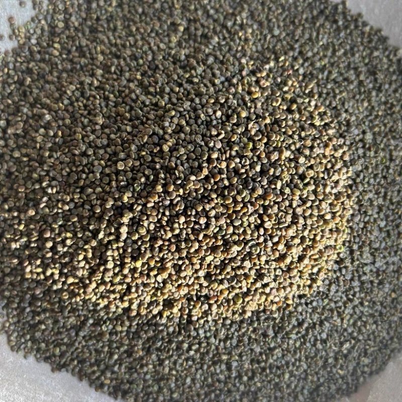 沙苑子正宗头茬沙苑子水洗优质无硫药用中药材