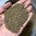 沙苑子正宗头茬沙苑子水洗优质无硫药用中药材