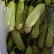 奶油小黄瓜市场批发超市**