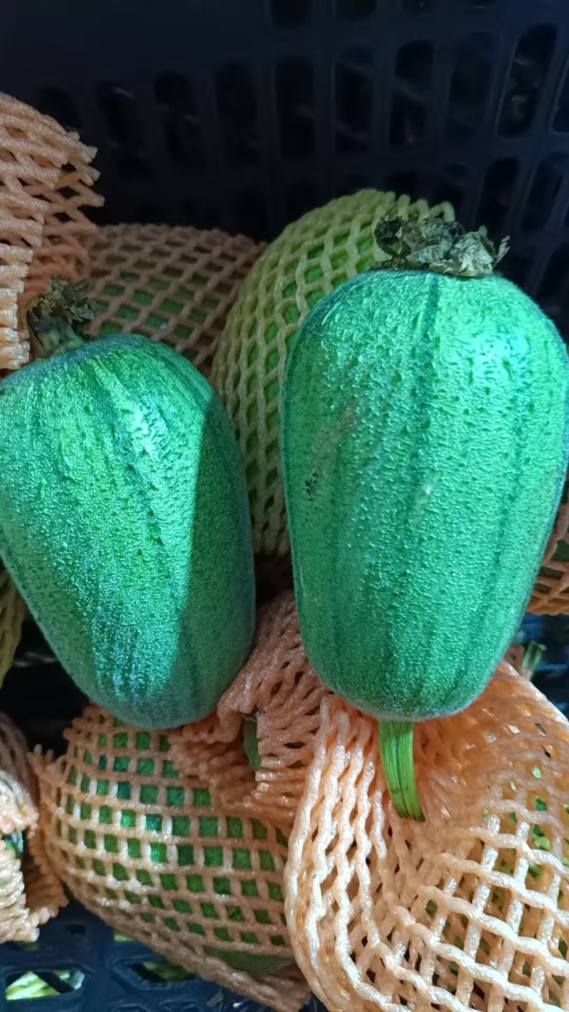 苹果丝瓜市场批发精品货通货食堂货商超