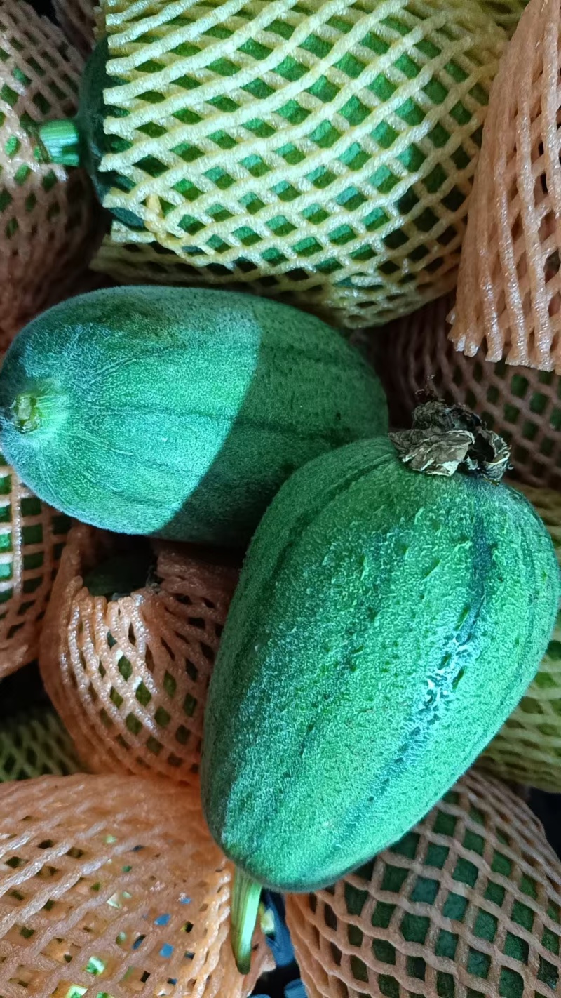 苹果丝瓜市场批发精品货通货食堂货商超