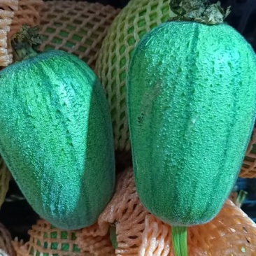 苹果丝瓜市场批发精品货通货食堂货商超