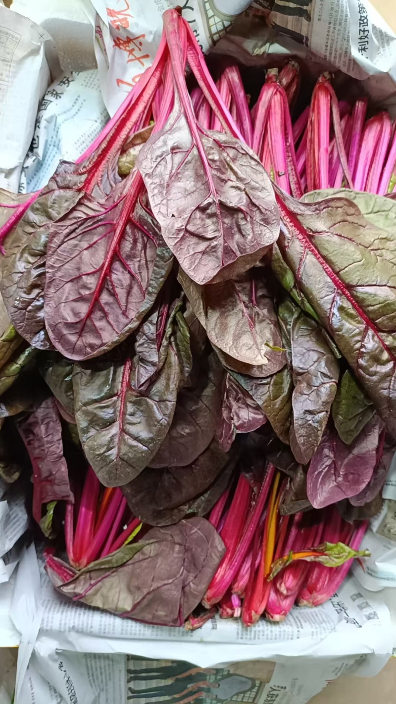 紫菠菜补充花青素啥；商超**食品