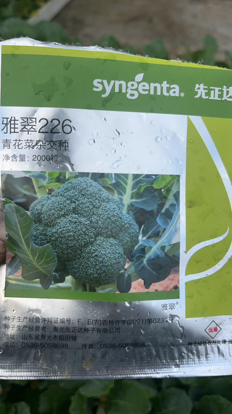 美青青花苗，要的多的加微信打电话私聊价格可以少