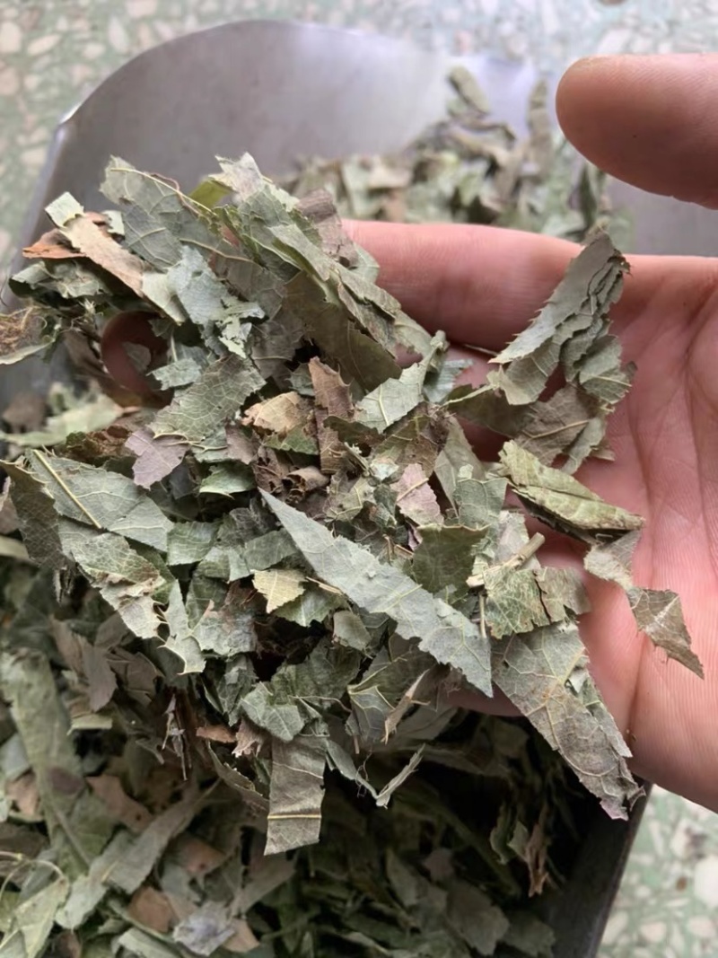 淫羊藿东北淫羊藿仙灵脾中药材批发一手货源