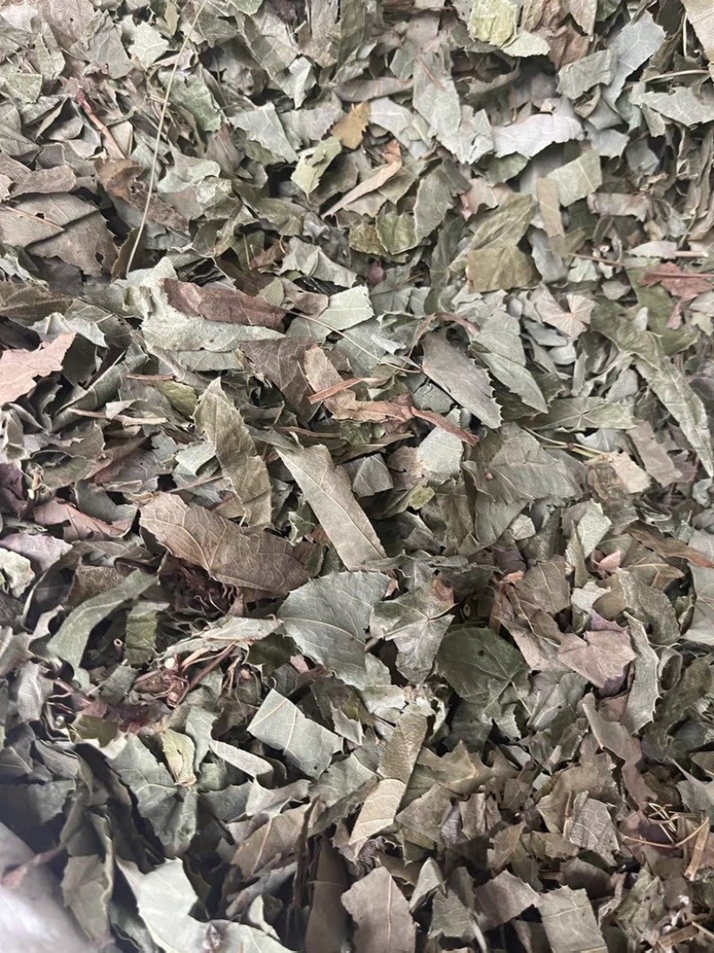 淫羊藿东北淫羊藿仙灵脾中药材批发一手货源