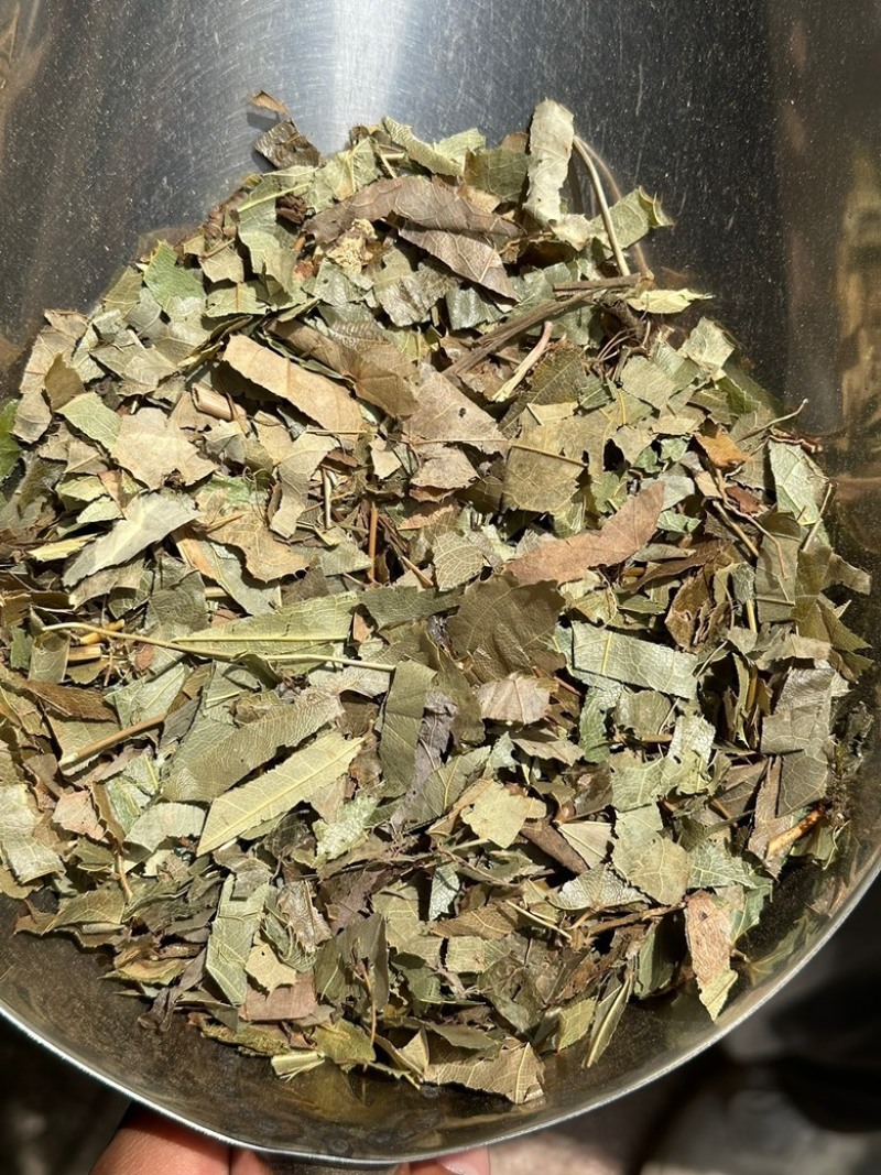 淫羊藿东北淫羊藿仙灵脾中药材批发一手货源