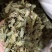 淫羊藿东北淫羊藿仙灵脾中药材批发一手货源
