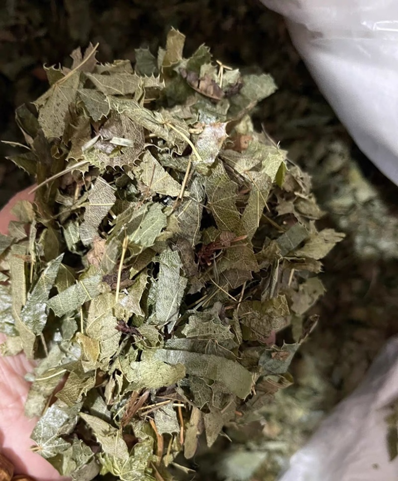 淫羊藿东北淫羊藿仙灵脾中药材批发一手货源