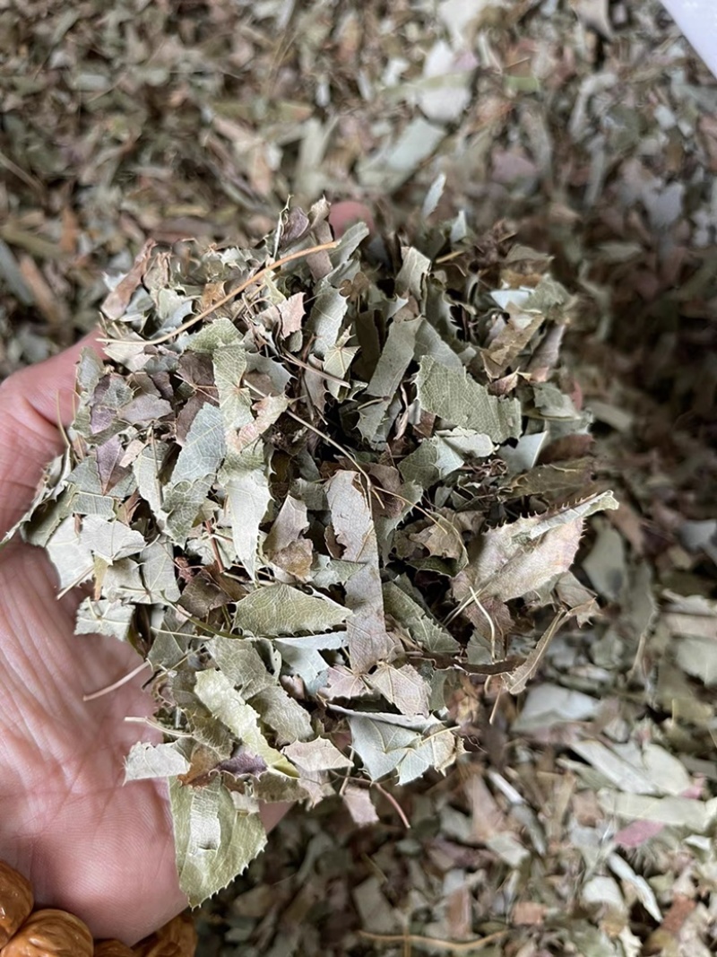 淫羊藿东北淫羊藿仙灵脾中药材批发一手货源