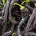 大果紫龙椒苗精品特菜苗子高产抗病苗成活率高