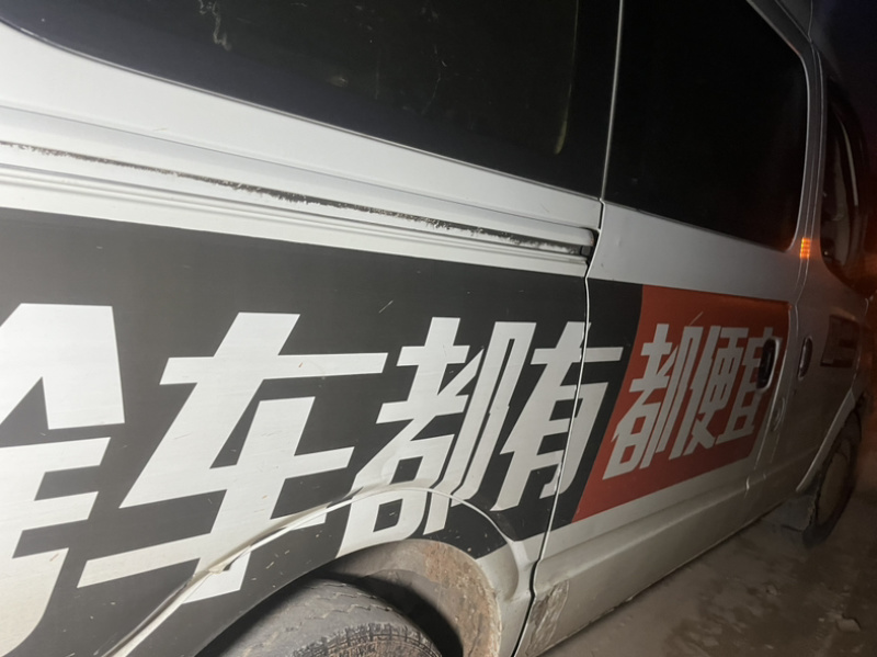 东洋50大白菜苗