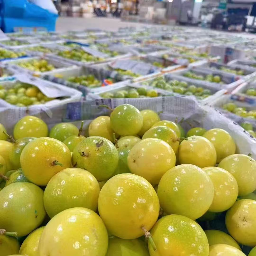 2025年百香果价格会涨还是跌？品种趋势与投资商机深度分析- 一亩田