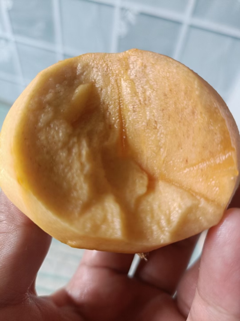 陕西渭南脆柿子