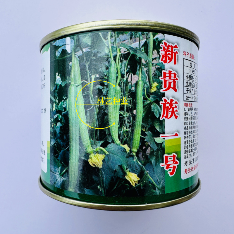 新贵族一号长棒丝瓜种子越冬一大茬丝瓜种子肉厚质硬心腔小产