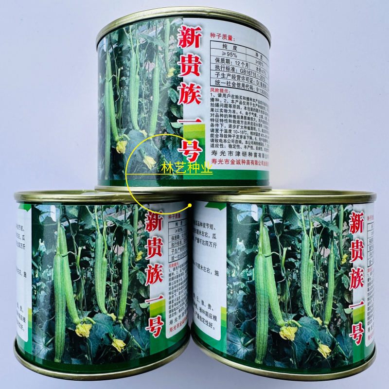 新贵族一号长棒丝瓜种子越冬一大茬丝瓜种子肉厚质硬心腔小产