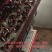蟑螂美洲大蠊活体批发，自产自销规格齐全渔具店垂钓诱饵必备