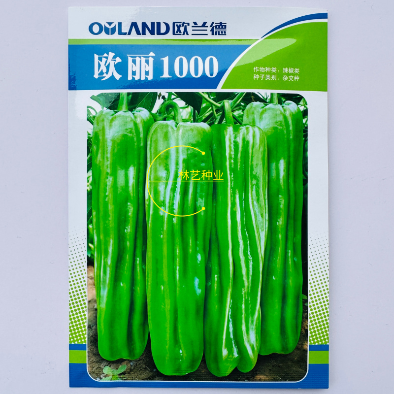 欧丽1000薄皮椒种子欧兰德竖条纹软皮泡椒苏椒酥椒微辣辣