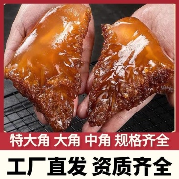 海蜇头红头蜇头红海蜇头特大角大角中角野生海蜇海蜇丝海蜇皮
