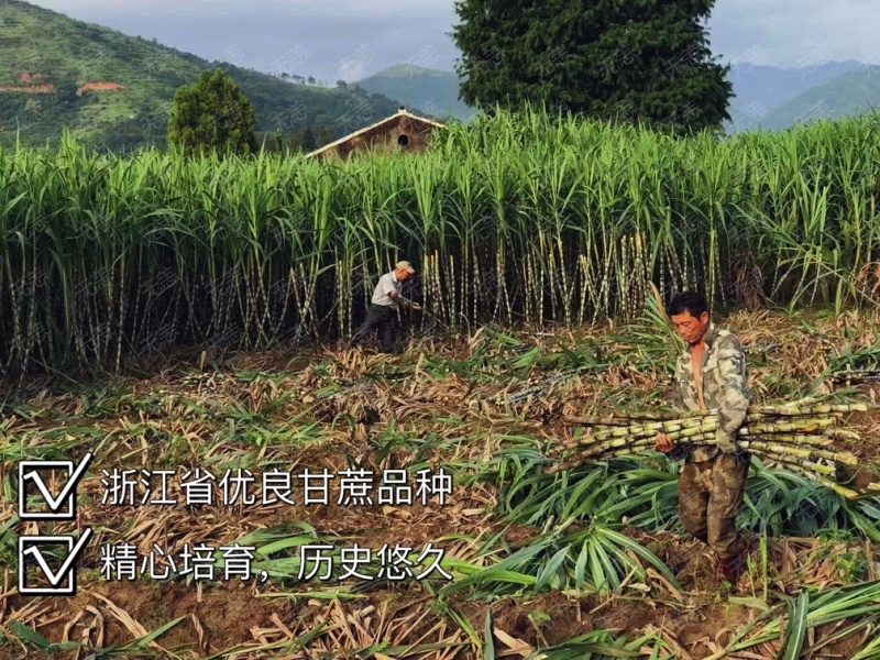 一件代发
