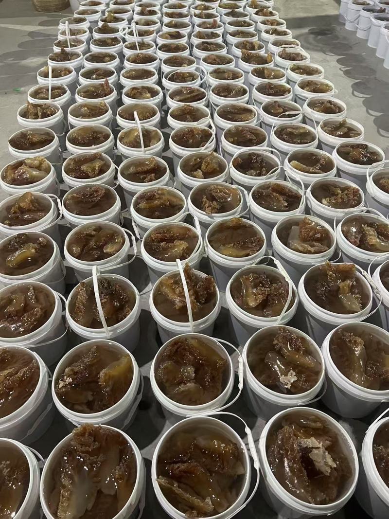 海蜇头红头蜇头红海蜇头特大角大角中角野生海蜇海蜇丝海蜇皮