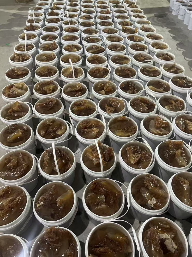 海蜇头红头蜇头红海蜇头特大角大角中角野生海蜇海蜇丝海蜇皮