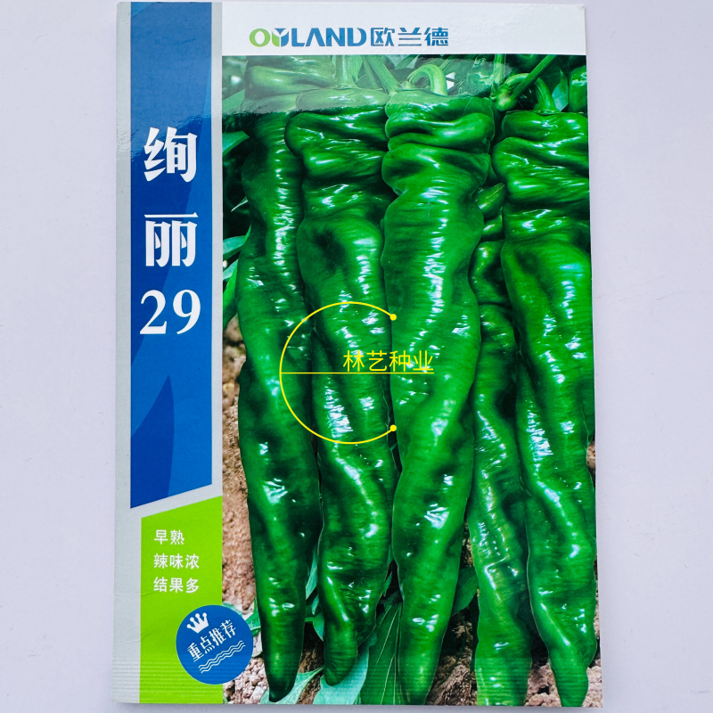 欧兰德绚丽29辣椒种子辣味浓香皮薄质脆春秋大果螺丝椒陇椒