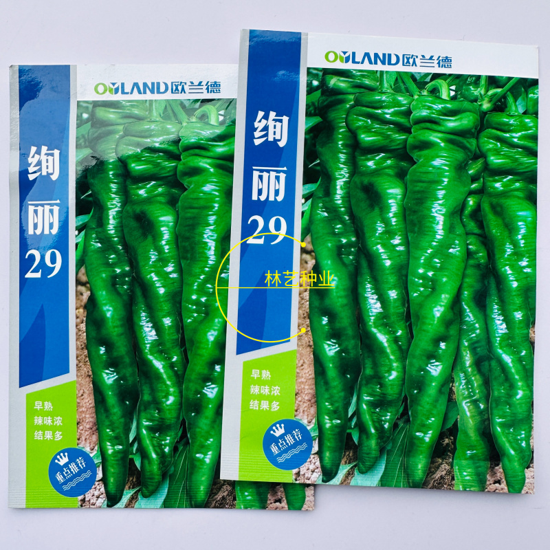 欧兰德绚丽29辣椒种子辣味浓香皮薄质脆春秋大果螺丝椒陇椒